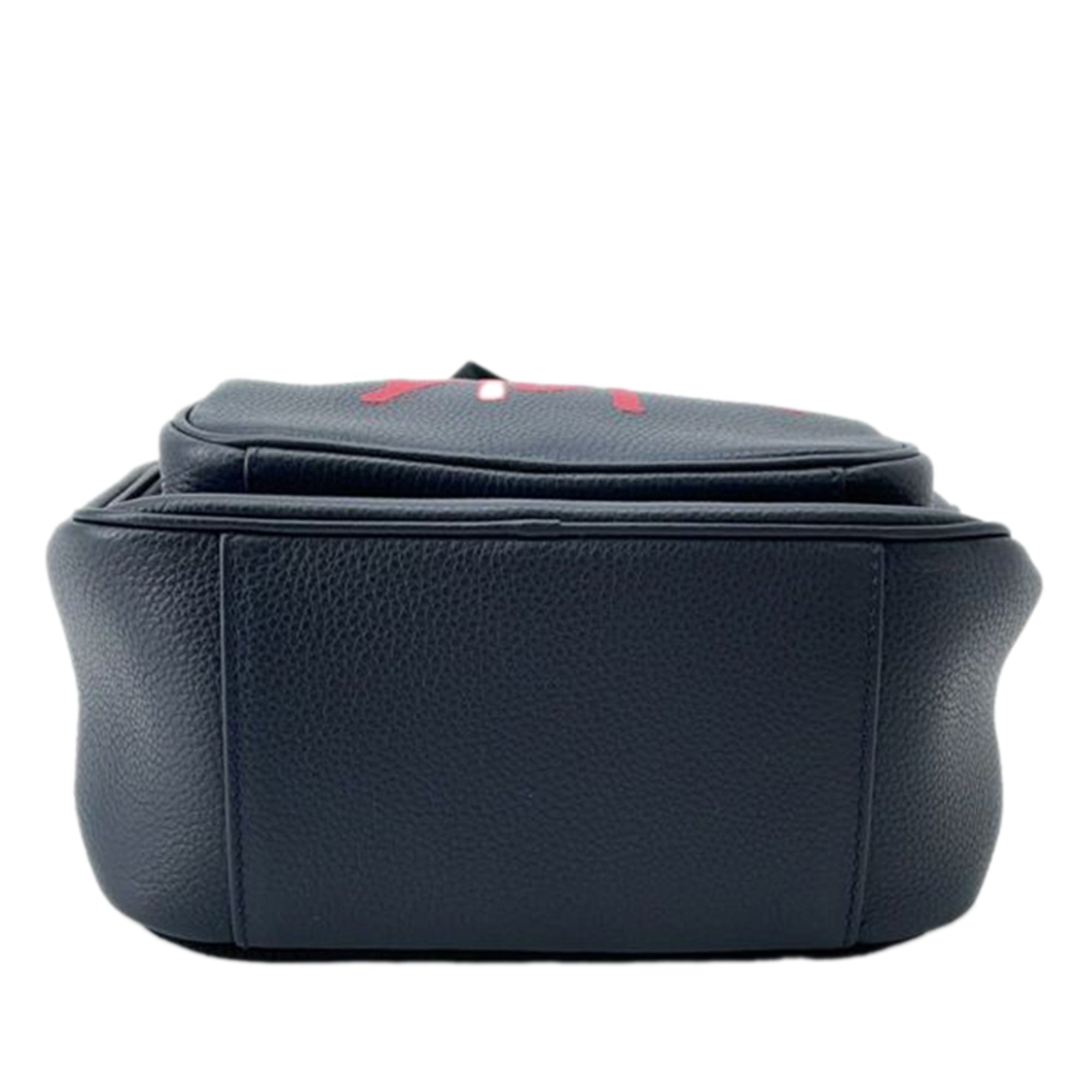 Dior Shawn Stussy Grained Calfskin Year of the Ox Sling Bag