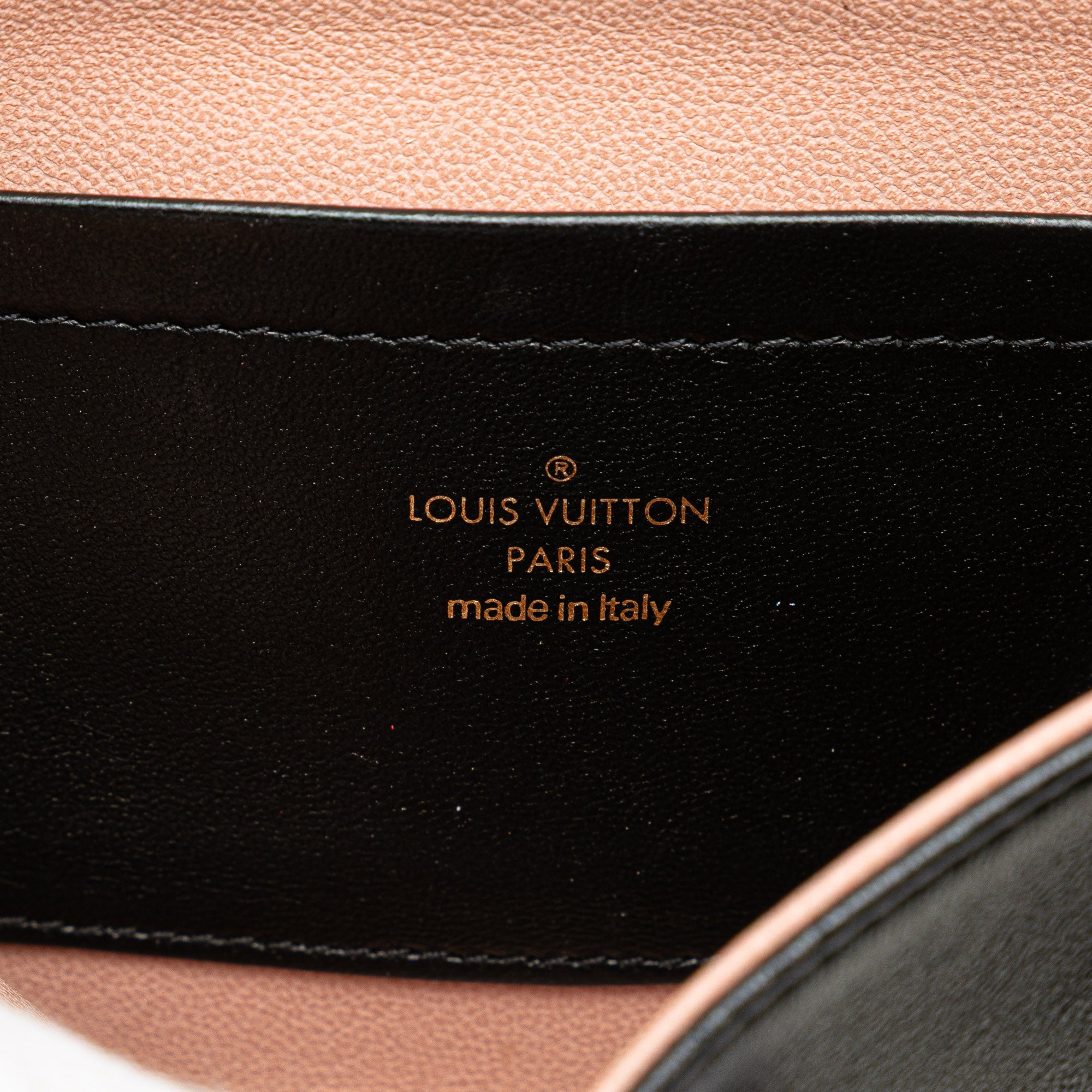 Louis Vuitton Monogram Embossed Pochette Coussin