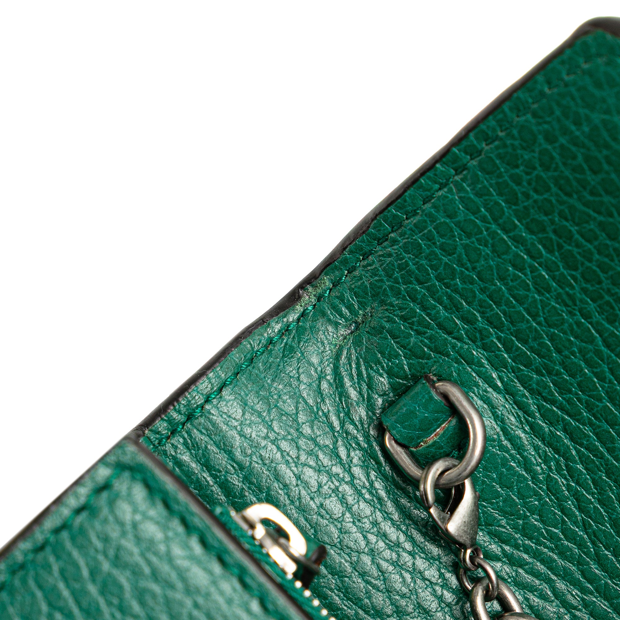 Gucci Calfskin Dionysus Wallet on Chain