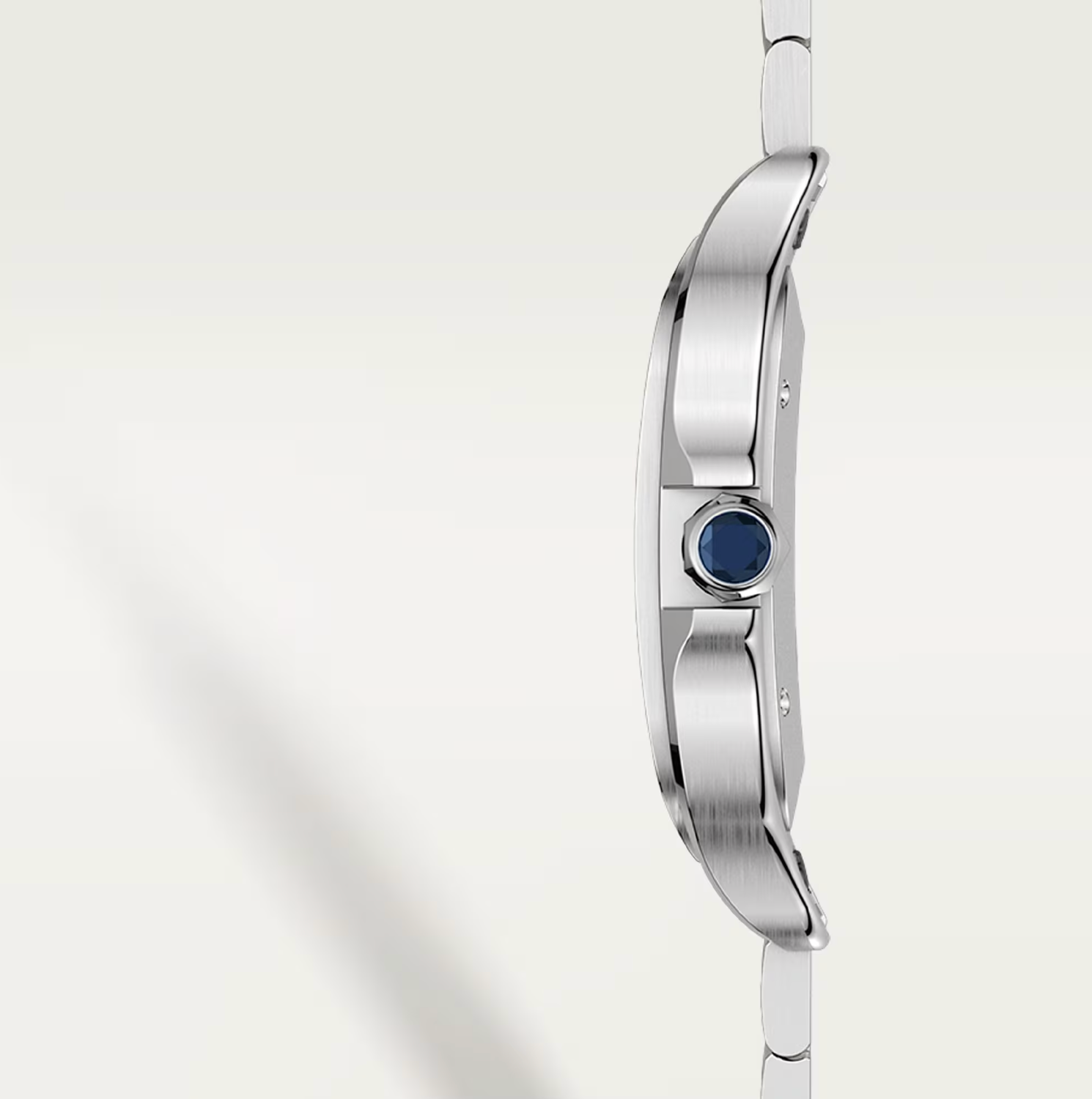 Cartier Santos de Cartier Large Model Blue Dial Automatic Watch