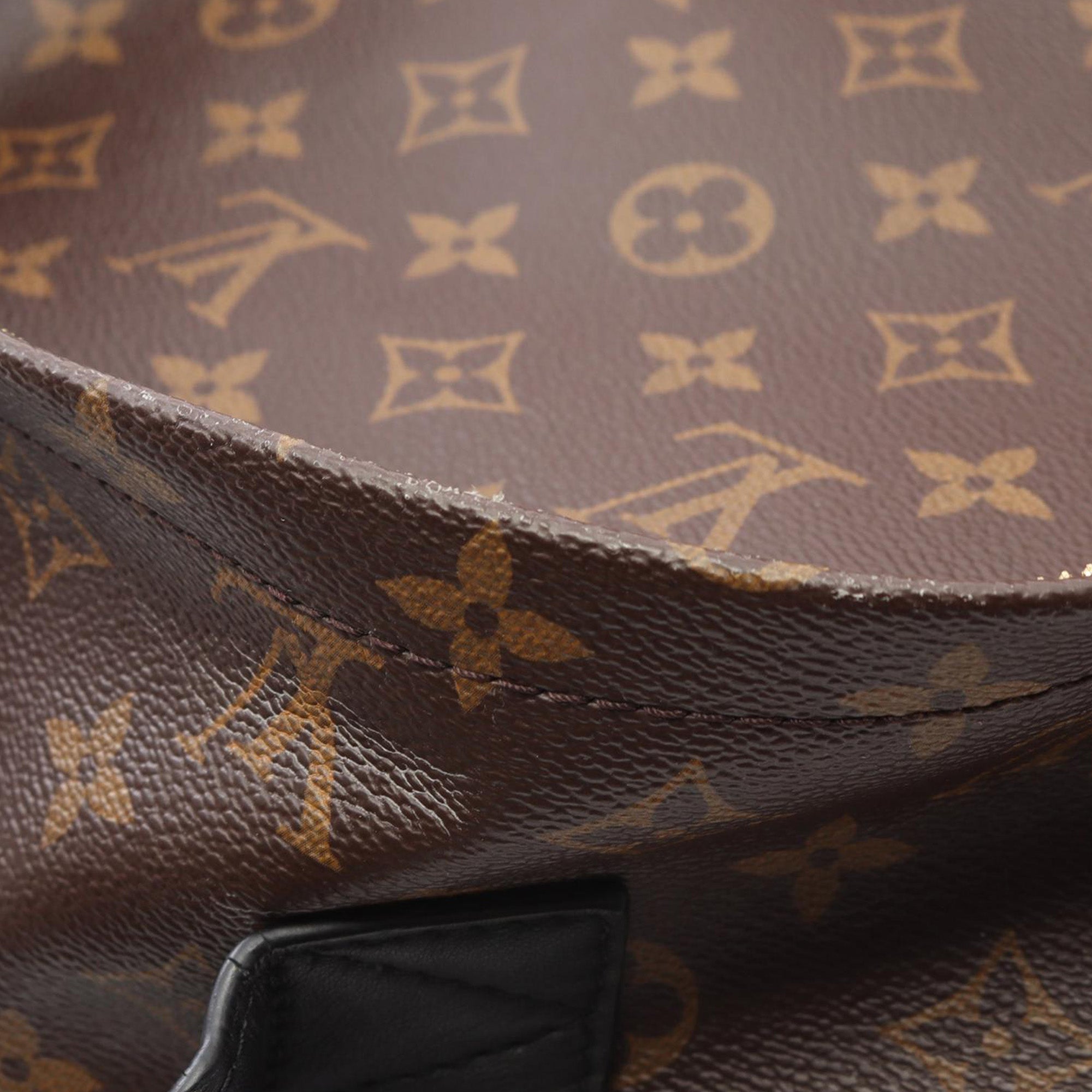 Louis Vuitton Monogram Palm Springs MM