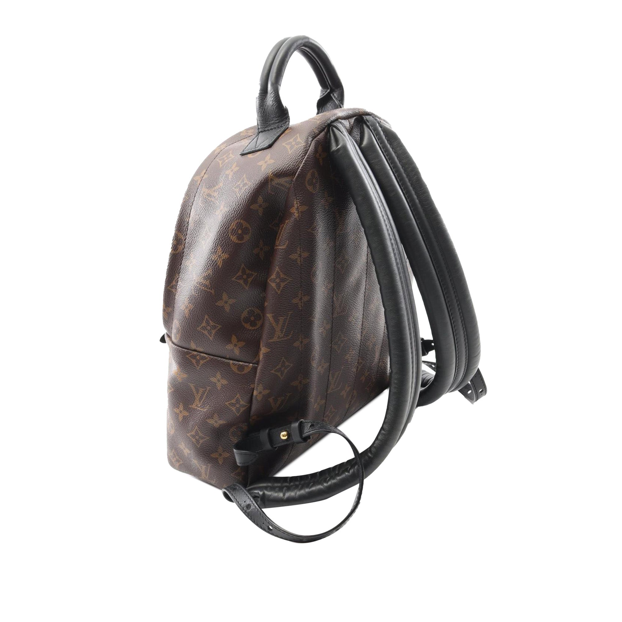 Louis Vuitton Monogram Palm Springs MM