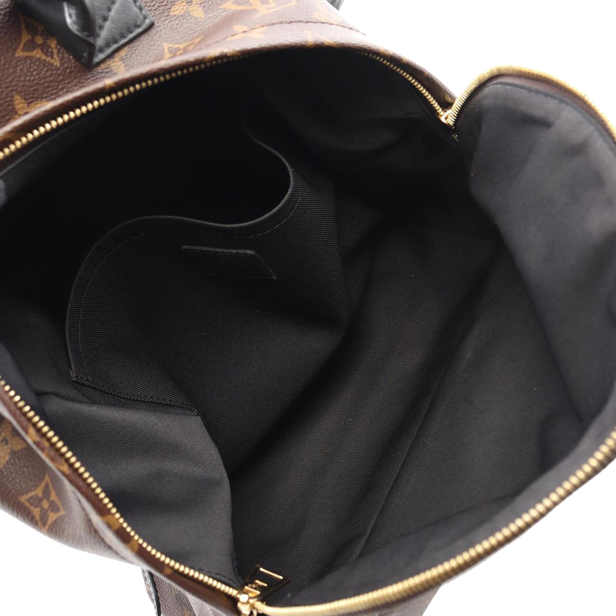 Louis Vuitton Monogram Palm Springs MM