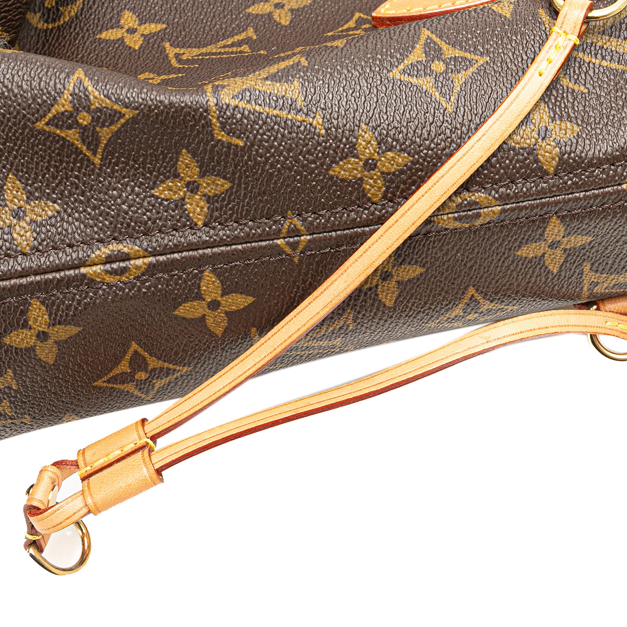 Louis Vuitton Monogram Neverfull PM