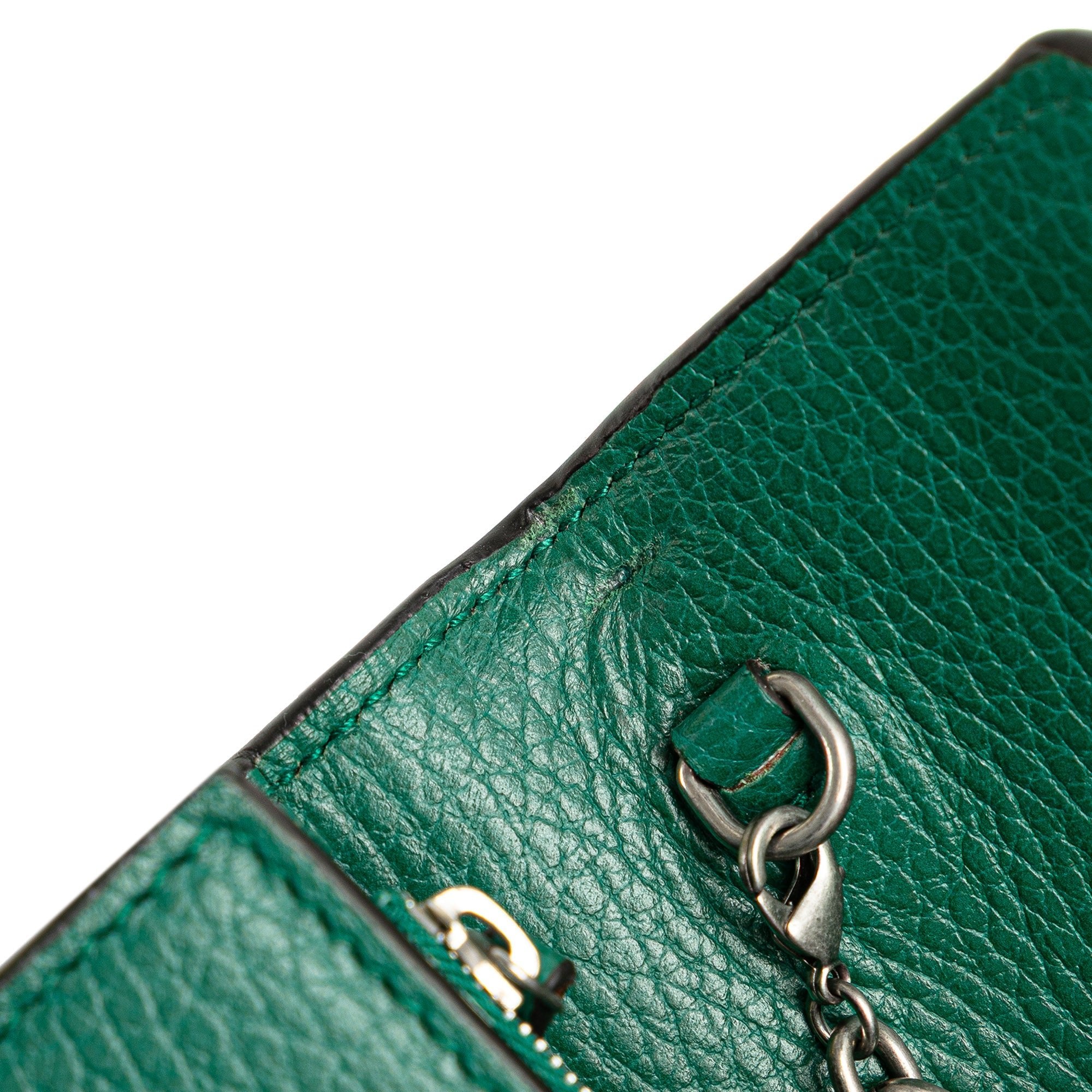 Gucci Calfskin Dionysus Wallet on Chain - The Boutique