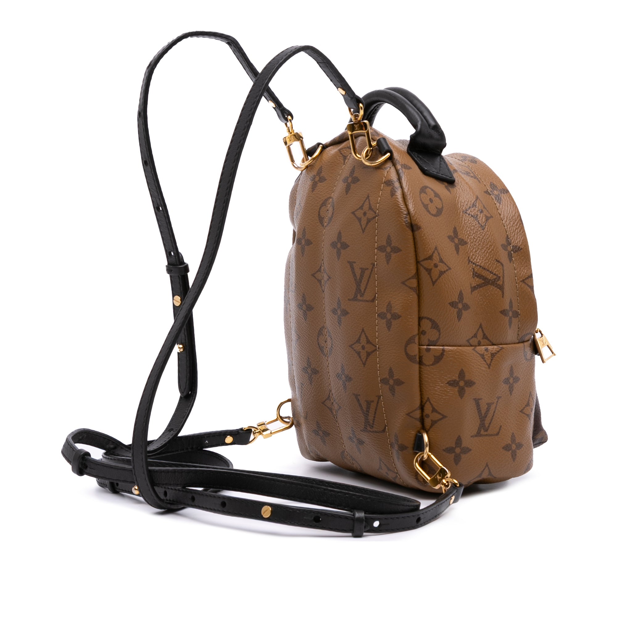 Louis Vuitton Monogram Reverse Mini Palm Springs - The Boutique