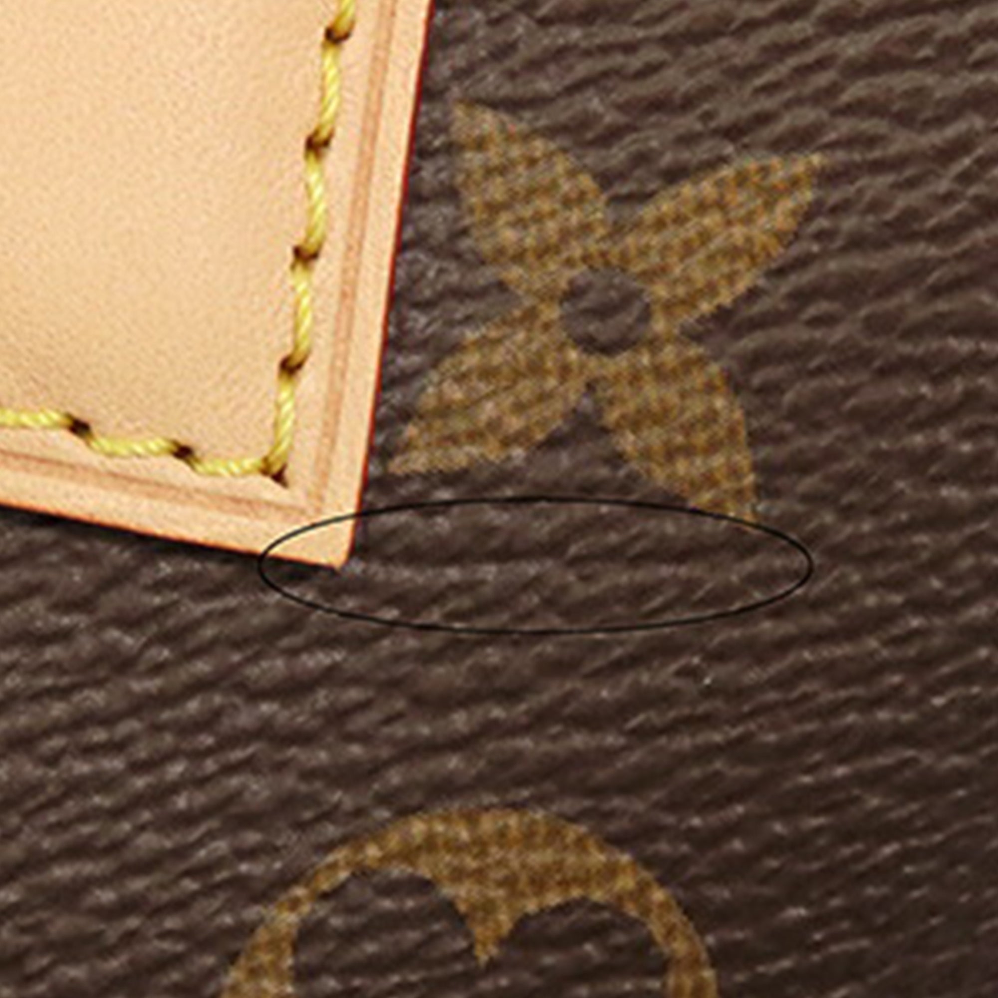 Monogram Speedy Bandouliere 20