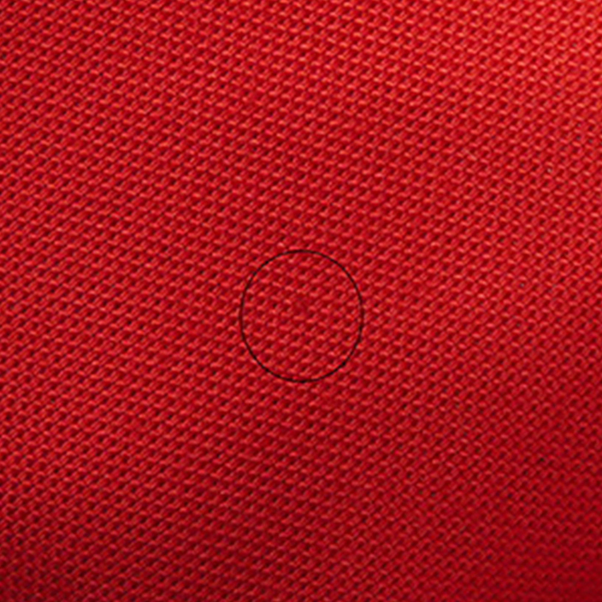 Monogram Speedy Bandouliere 20