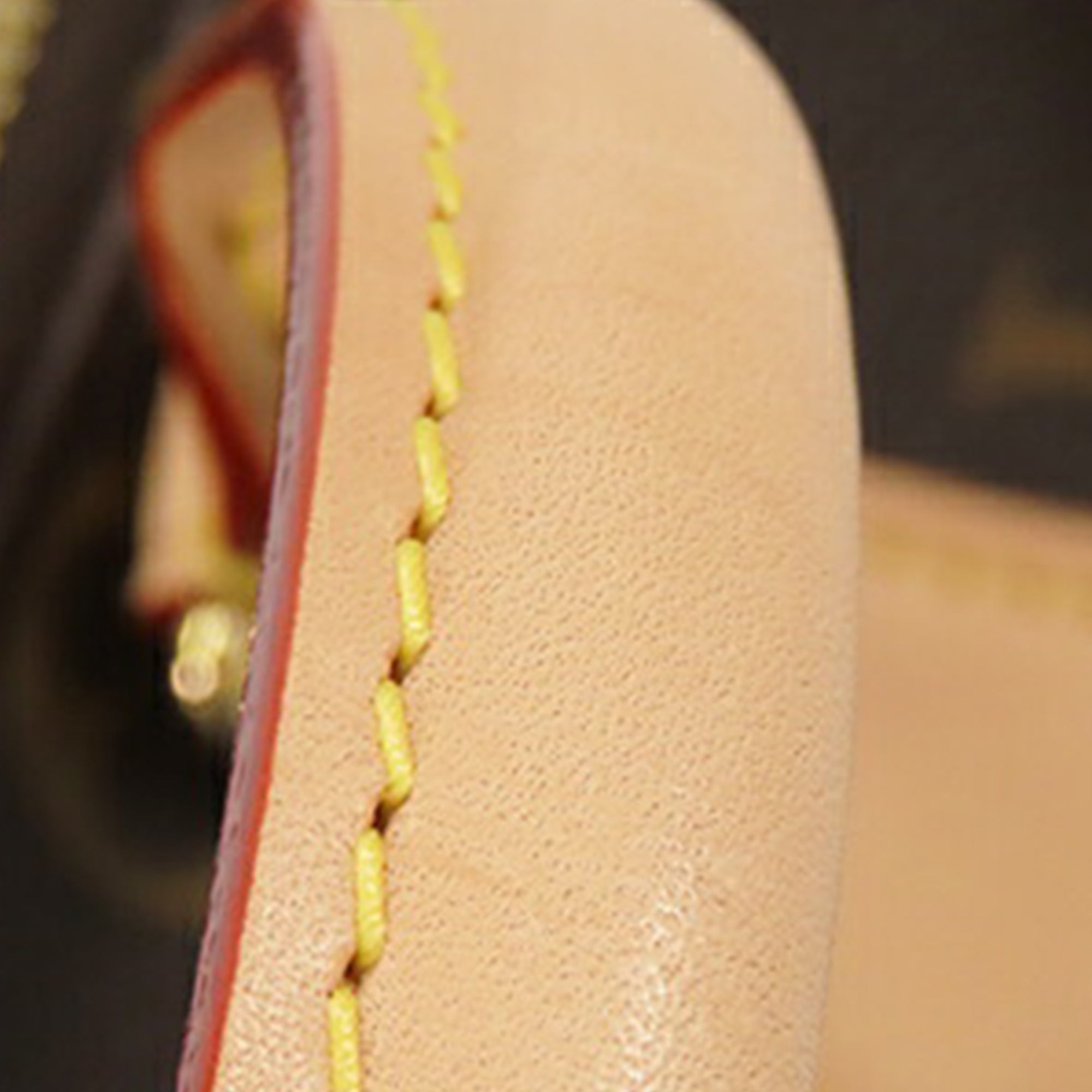 Monogram Speedy Bandouliere 20