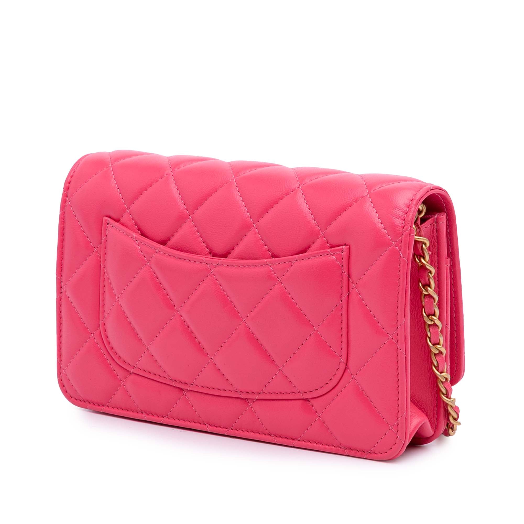 Chanel Quilted Lambskin Acrylic Coco Love Wallet on Chain