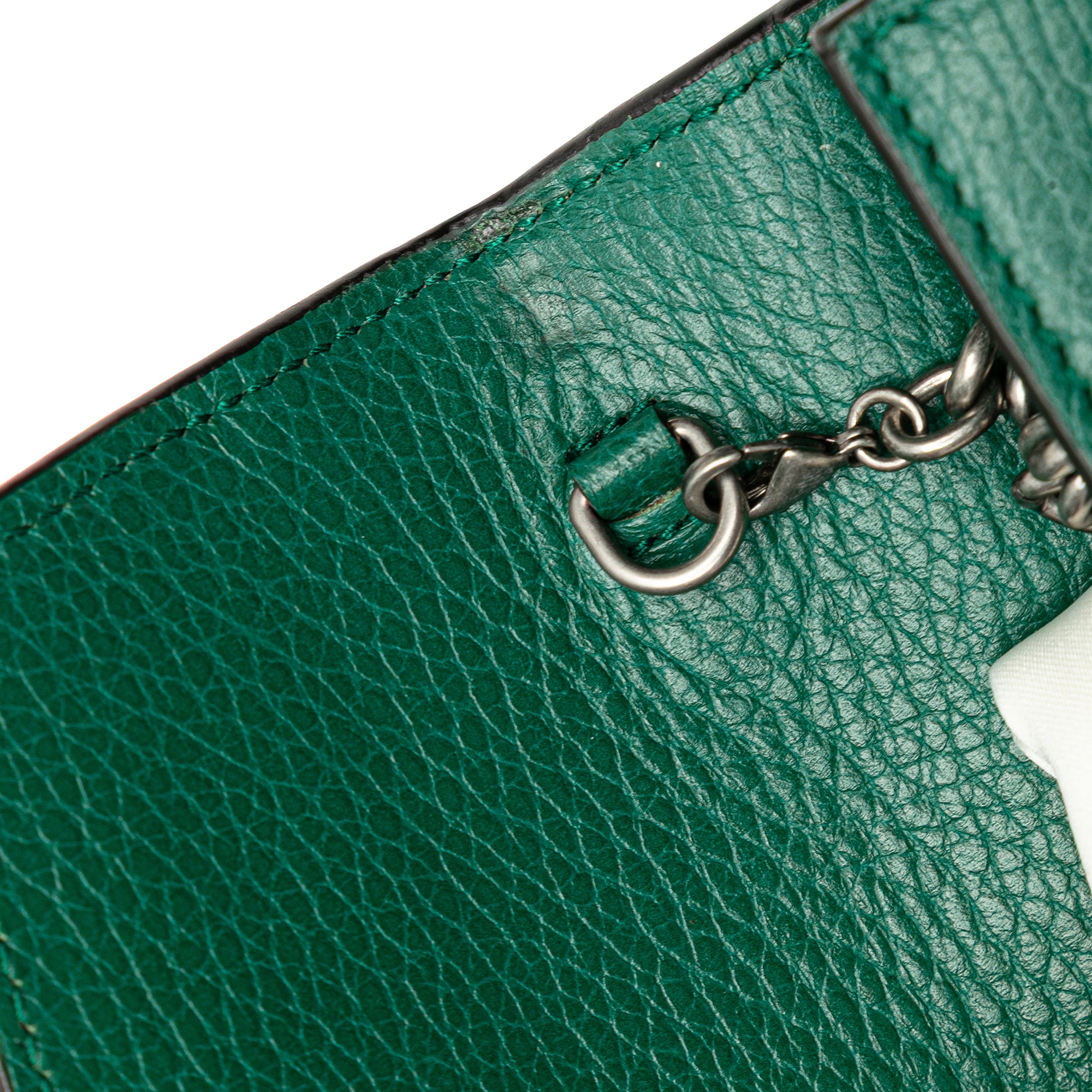 Gucci Calfskin Dionysus Wallet on Chain
