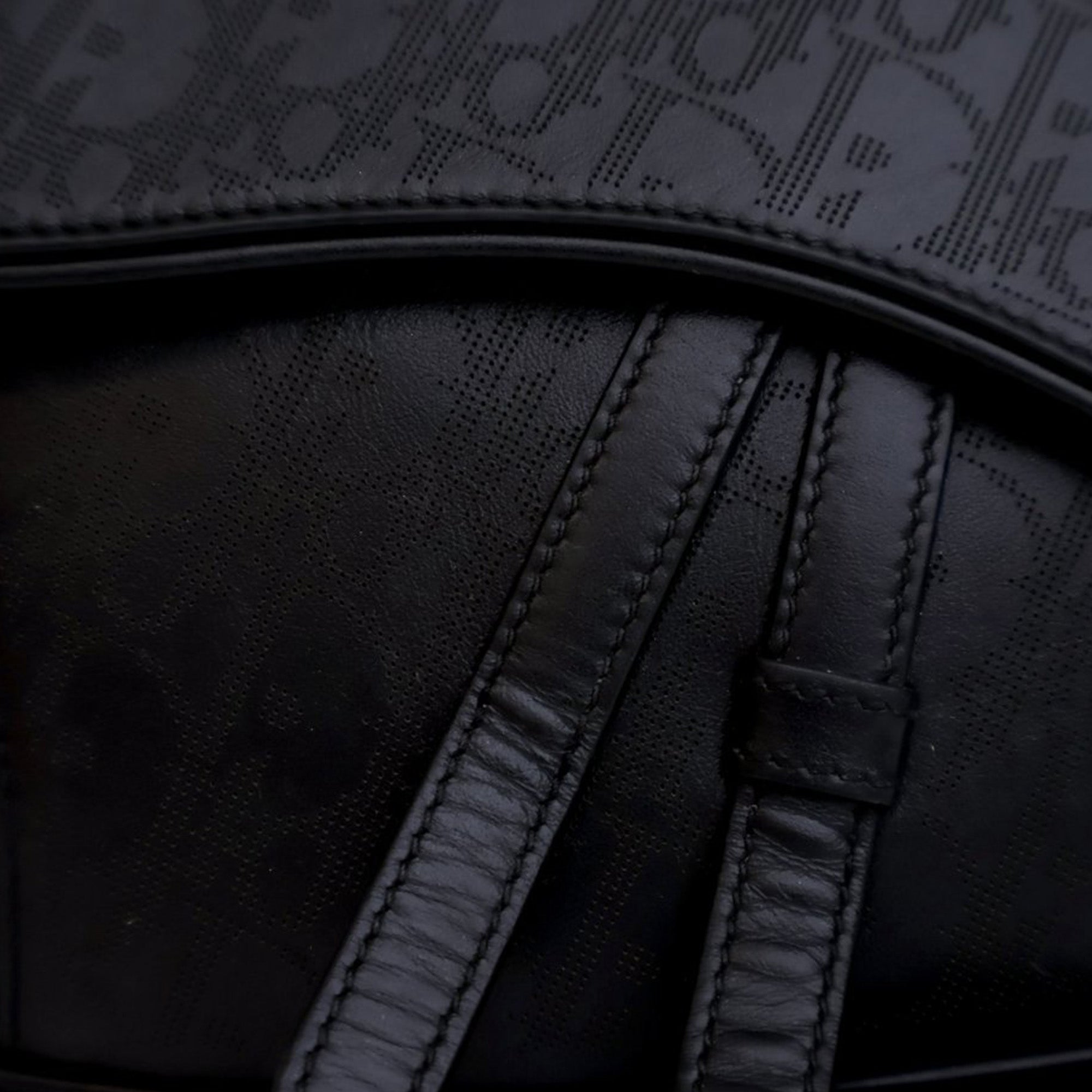 Oblique Perforated Calfskin Galaxy Saddle Bag