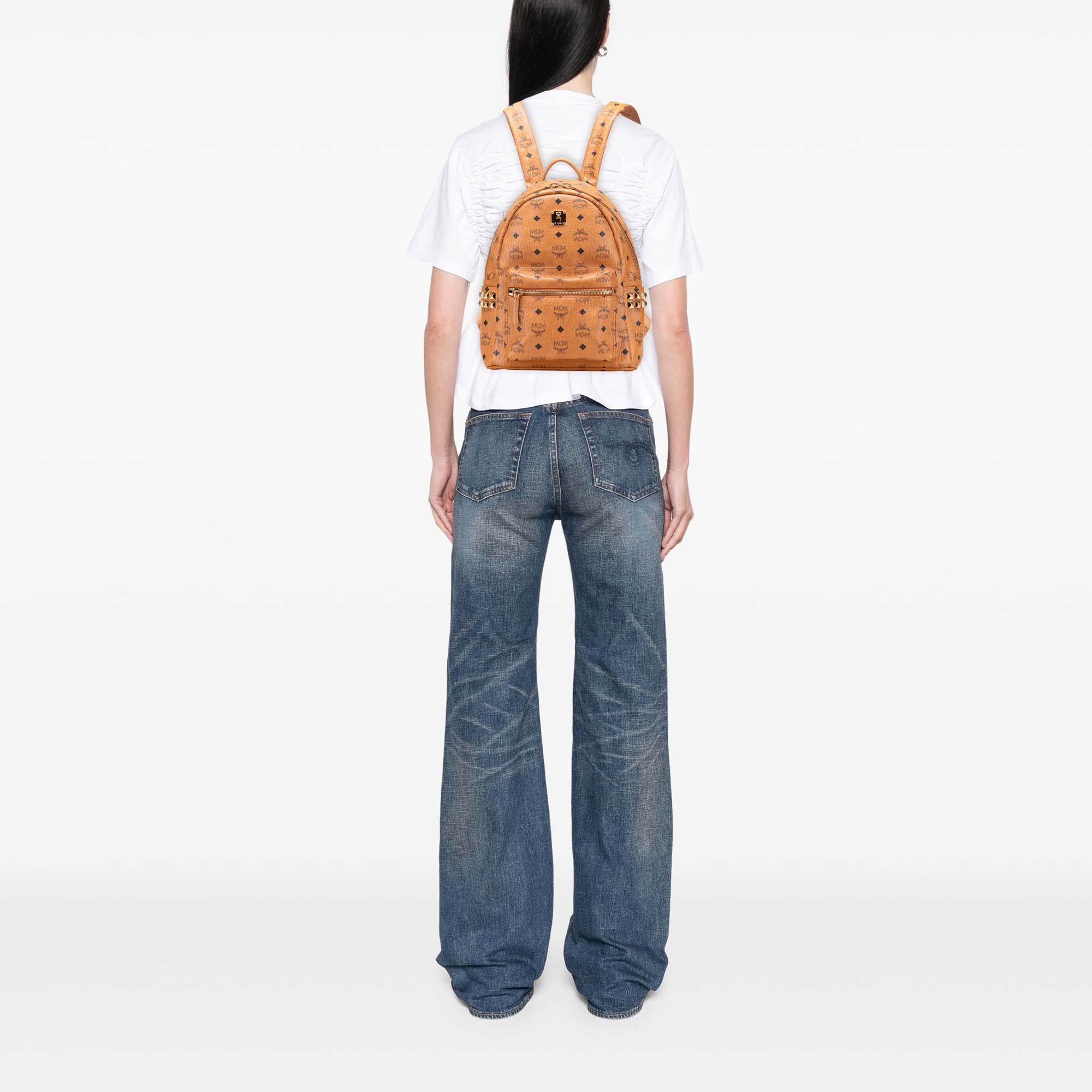 Small Visetos Coated Canvas Stark Backpack