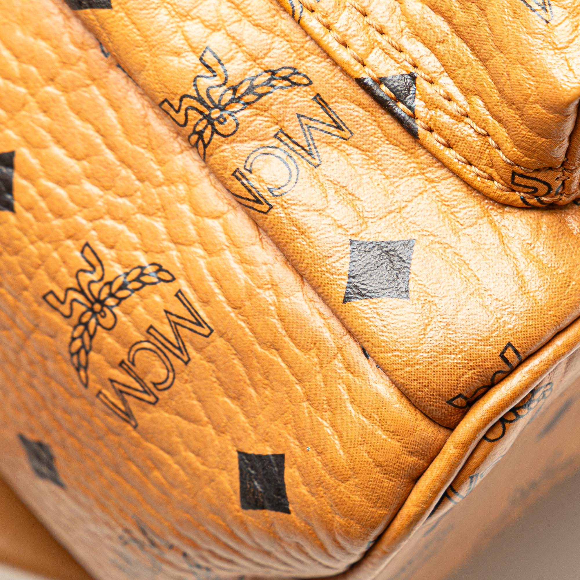 Small Visetos Coated Canvas Stark Backpack