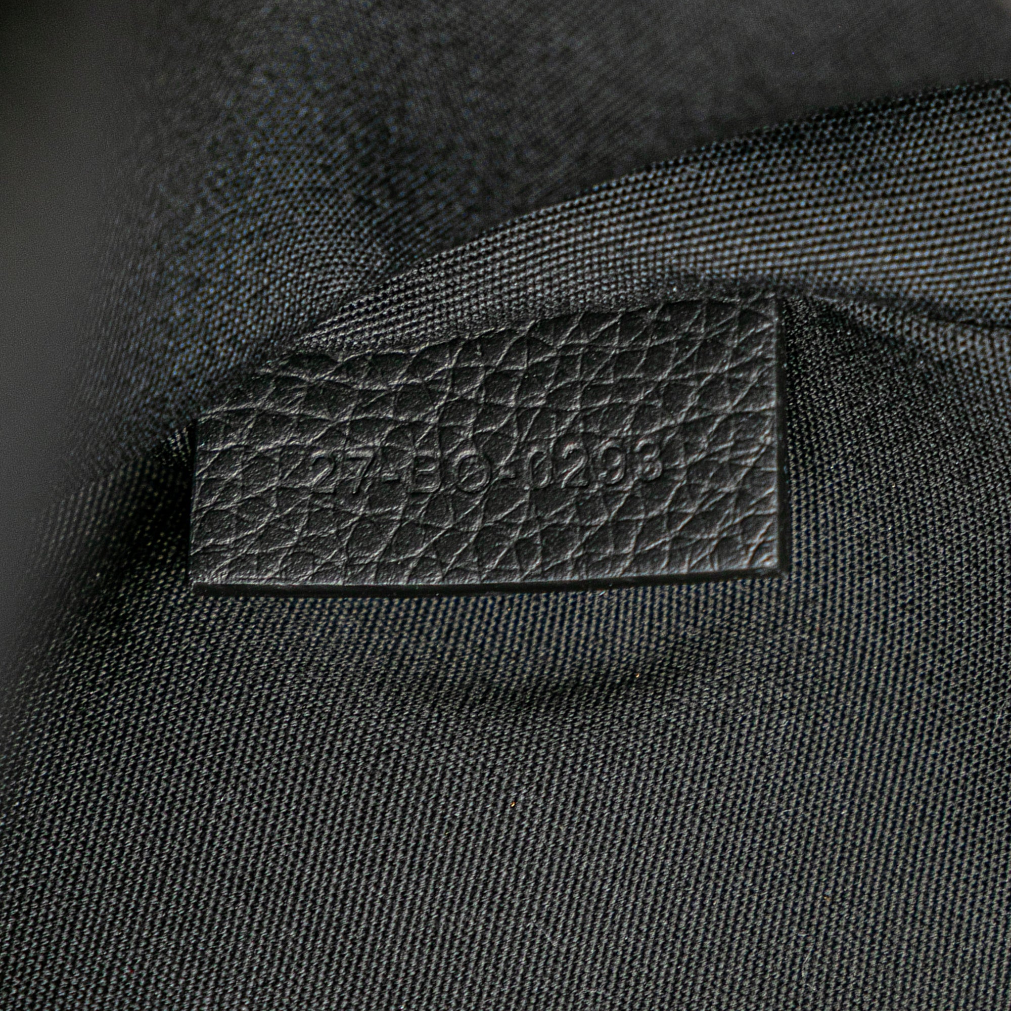 Dior Oblique Canvas 8 Backpack