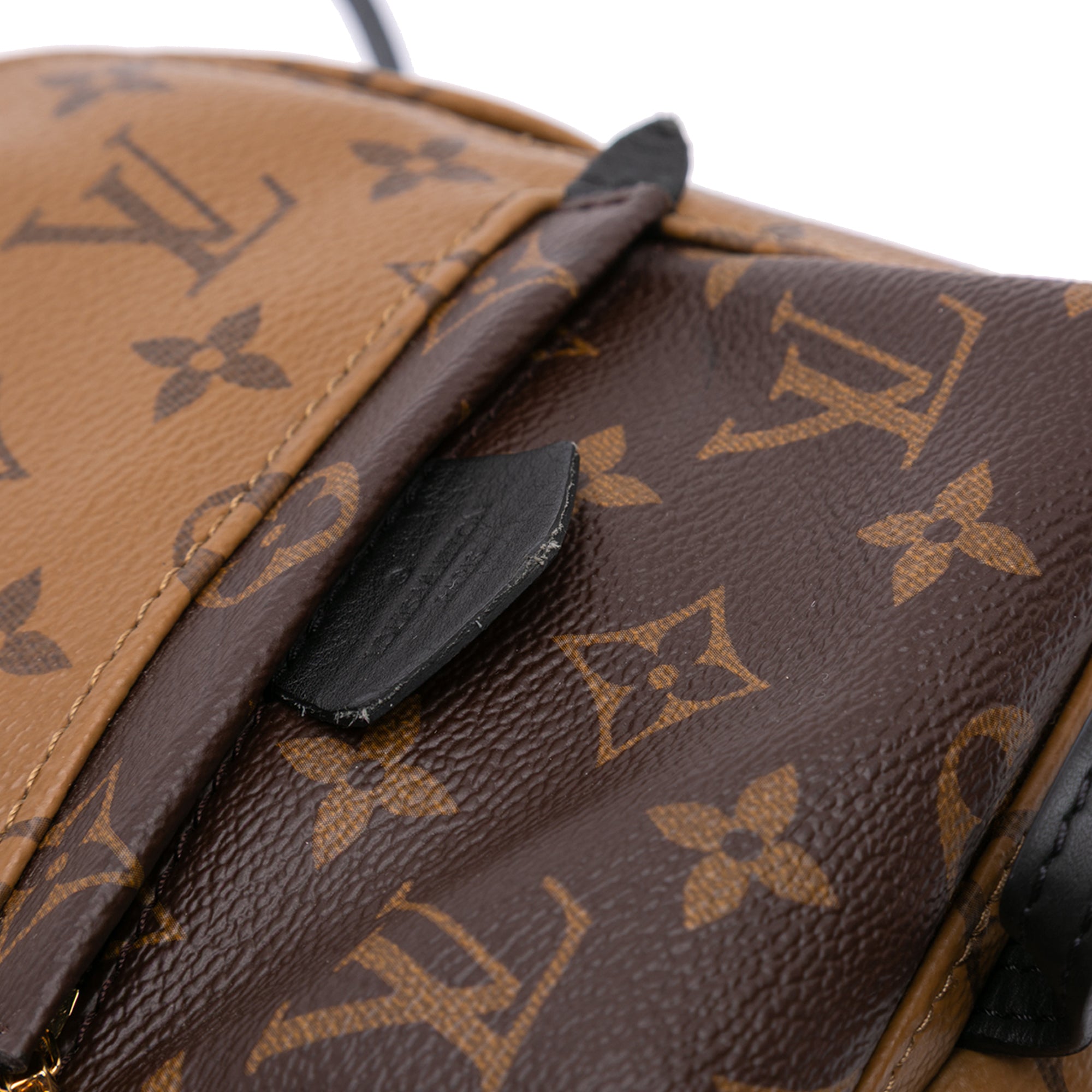 Louis Vuitton Monogram Reverse Mini Palm Springs