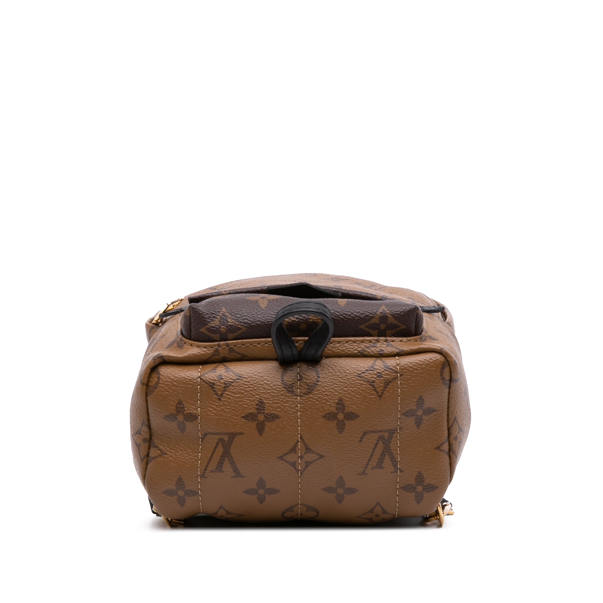 Louis Vuitton Monogram Reverse Mini Palm Springs