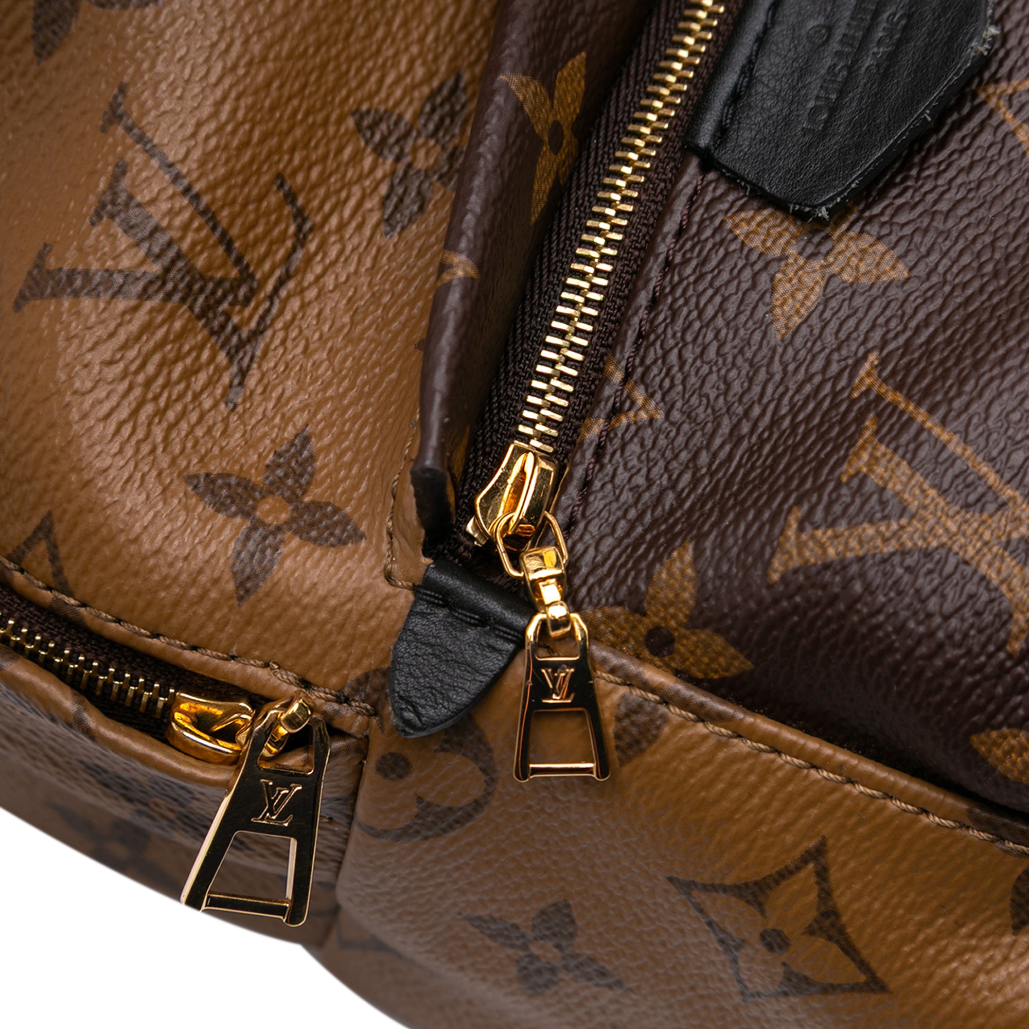 Louis Vuitton Monogram Reverse Mini Palm Springs