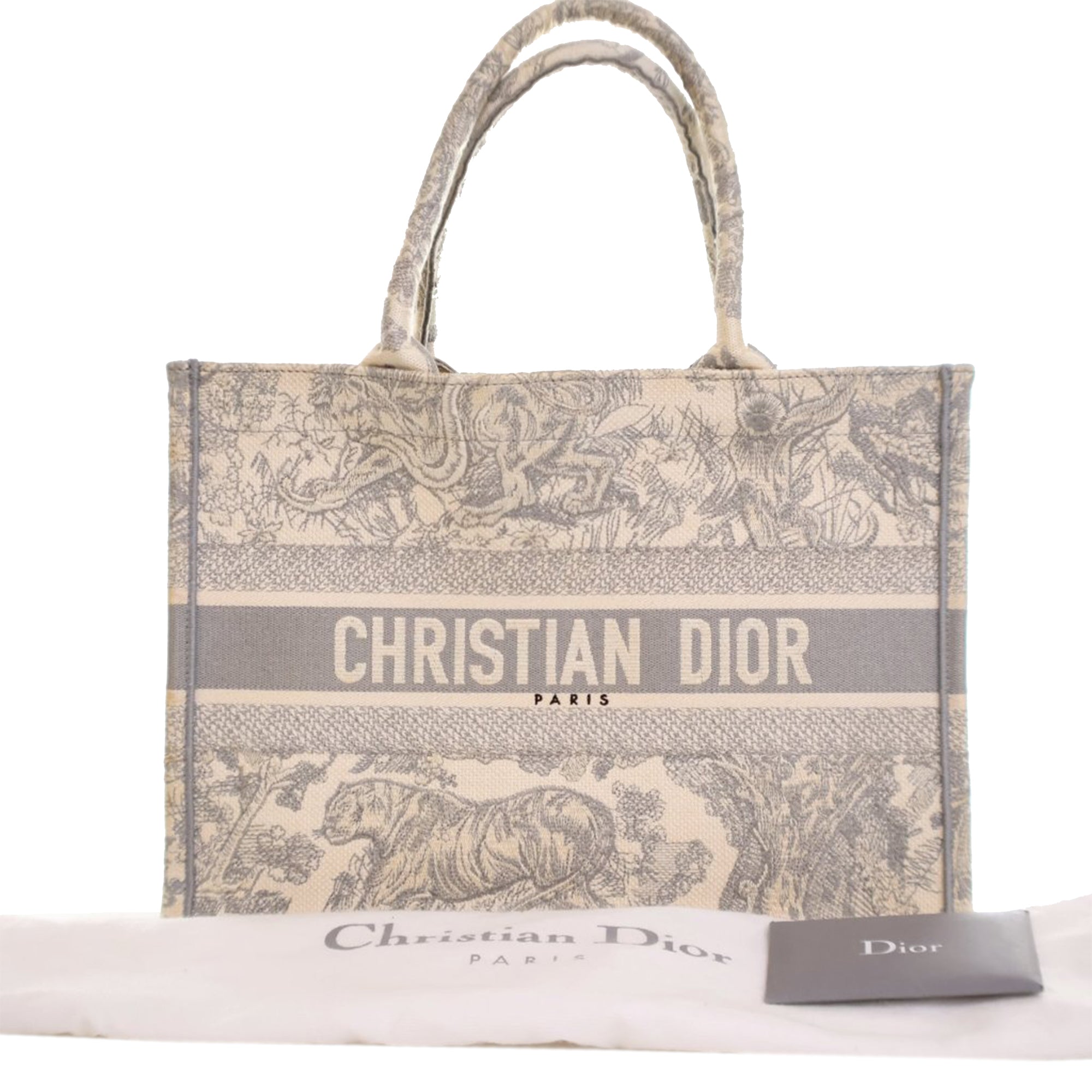 Medium Toile de Jouy Reverse Embroidered Canvas Book Tote