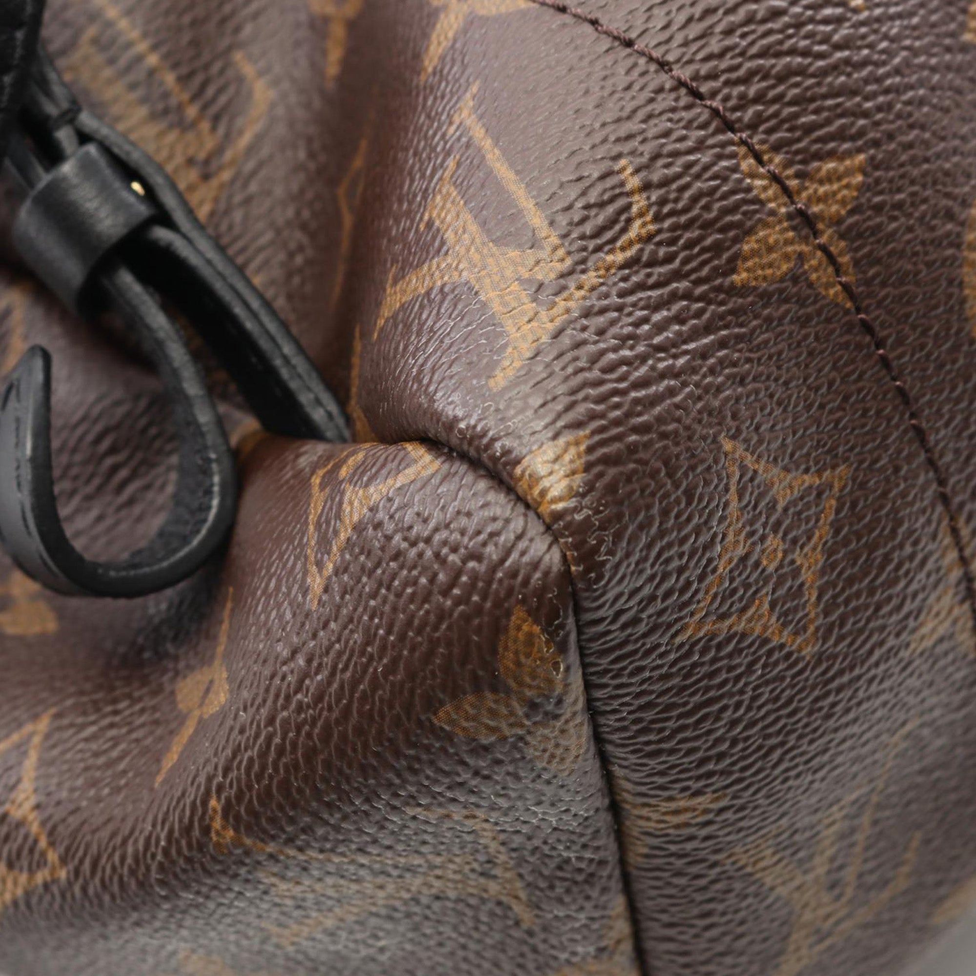 Louis Vuitton Monogram Palm Springs MM