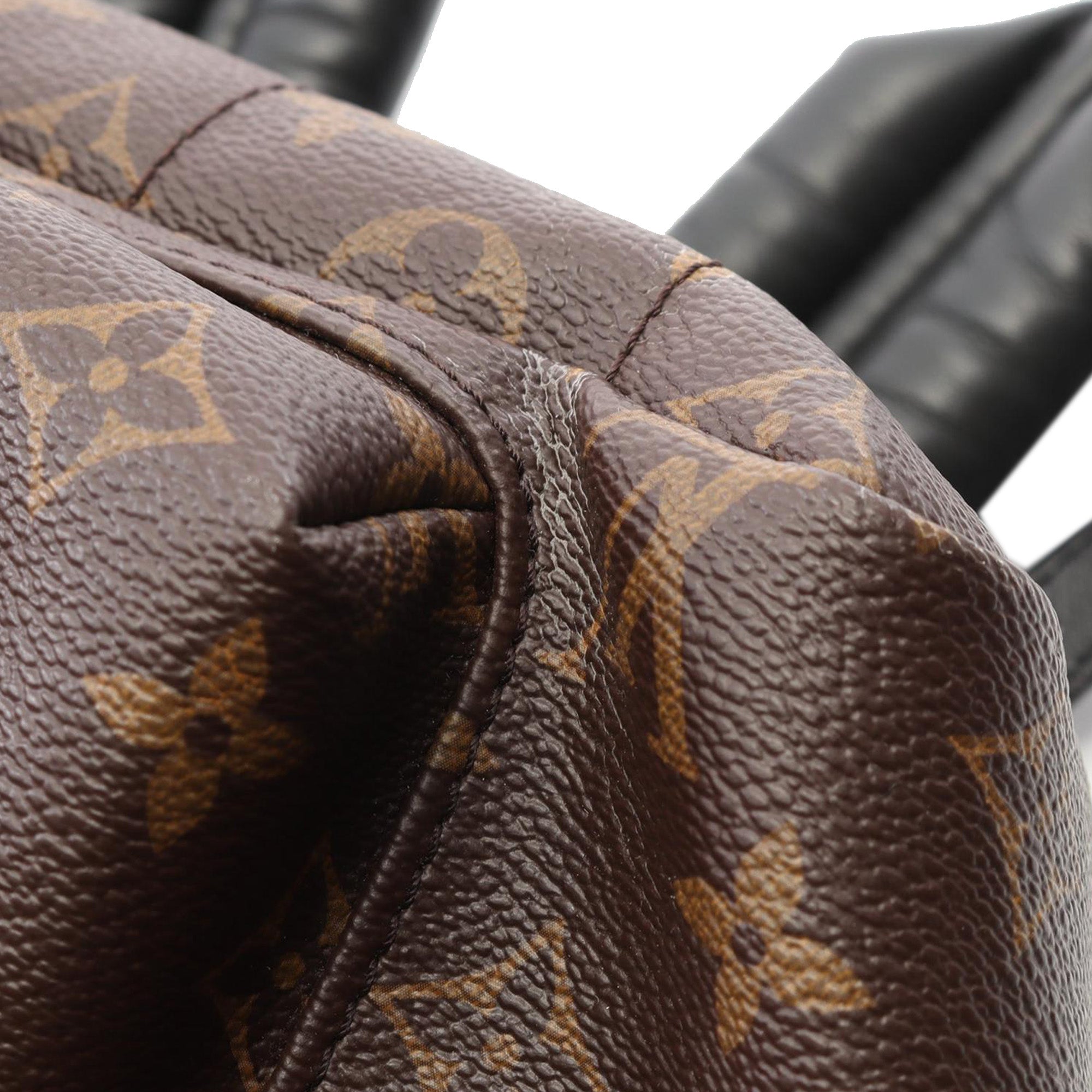 Louis Vuitton Monogram Palm Springs MM