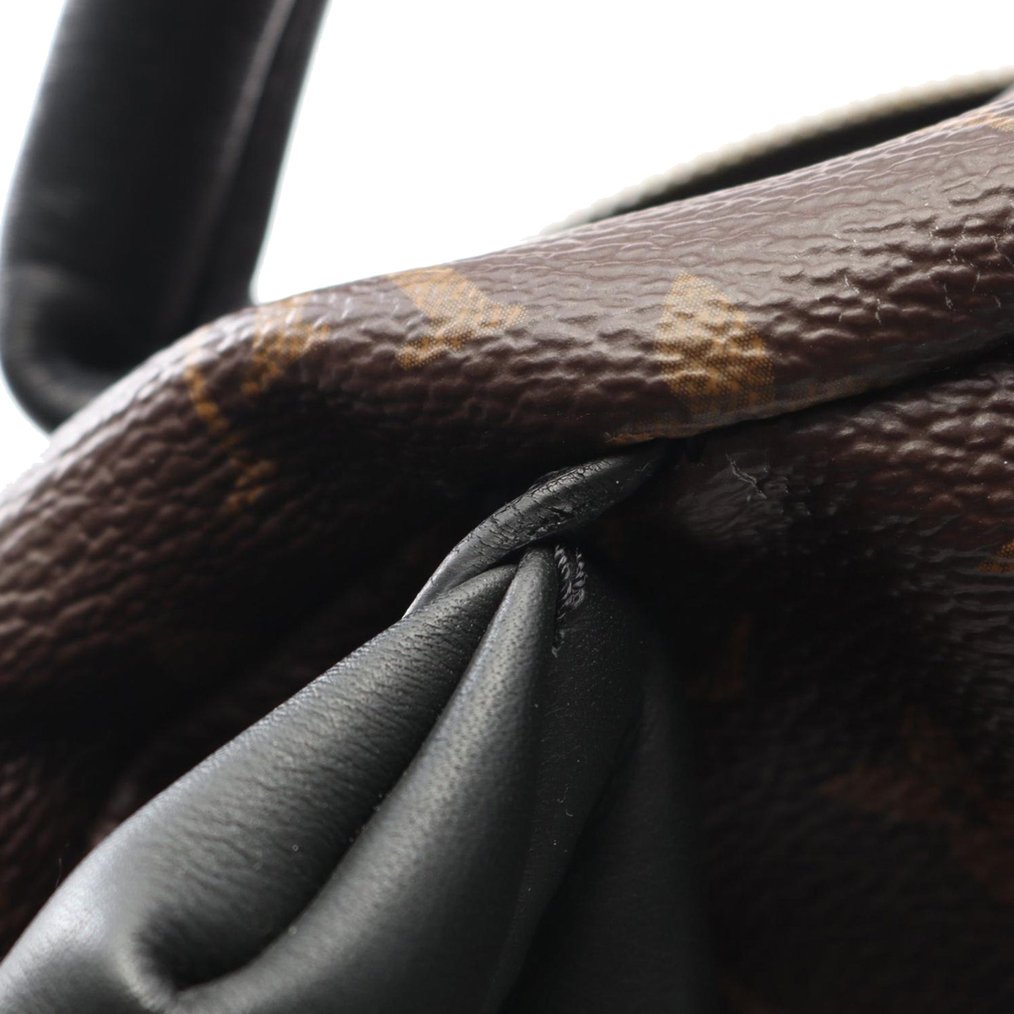 Louis Vuitton Monogram Palm Springs MM