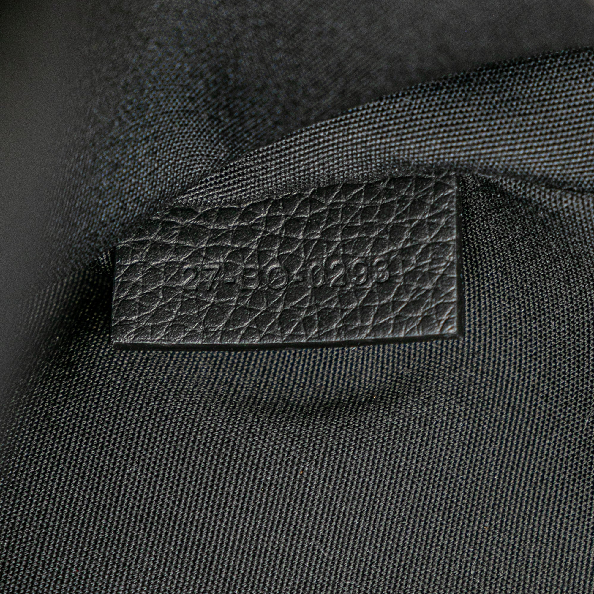 Dior Oblique Canvas 8 Backpack - The Boutique