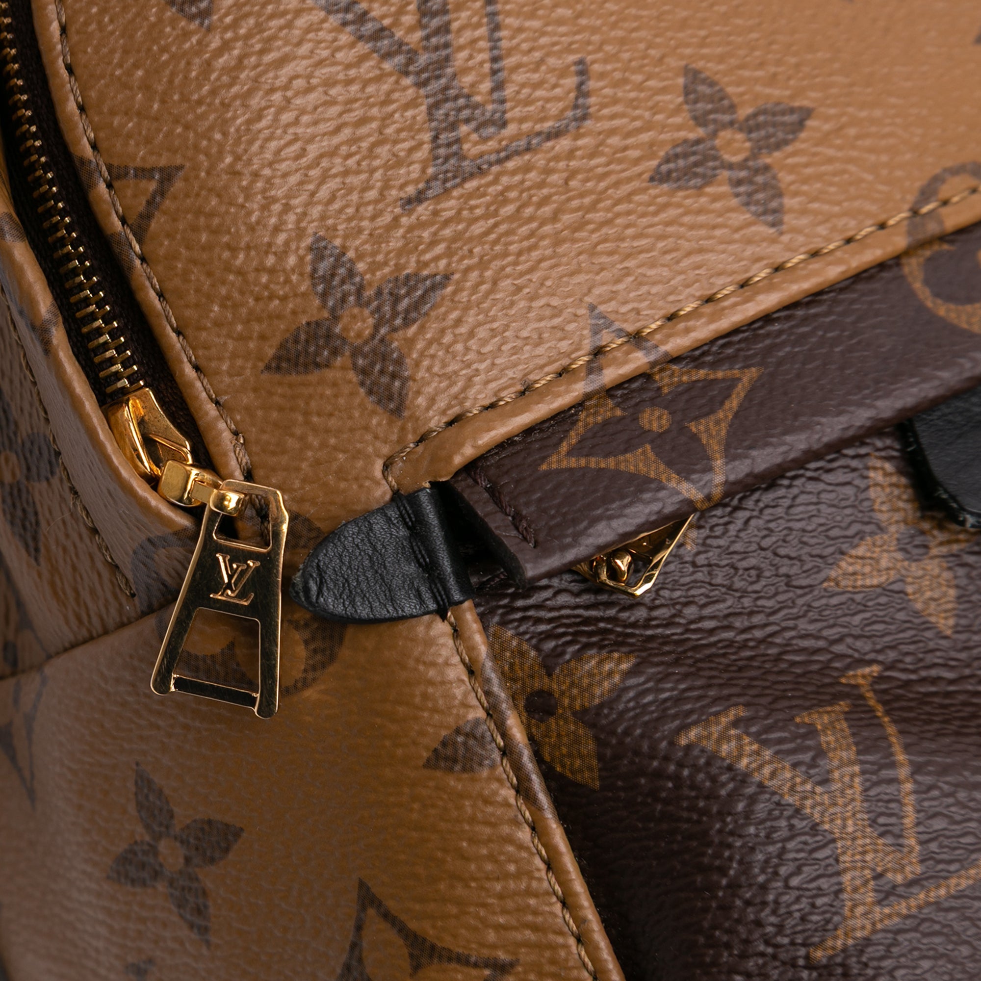 Louis Vuitton Monogram Reverse Mini Palm Springs - The Boutique