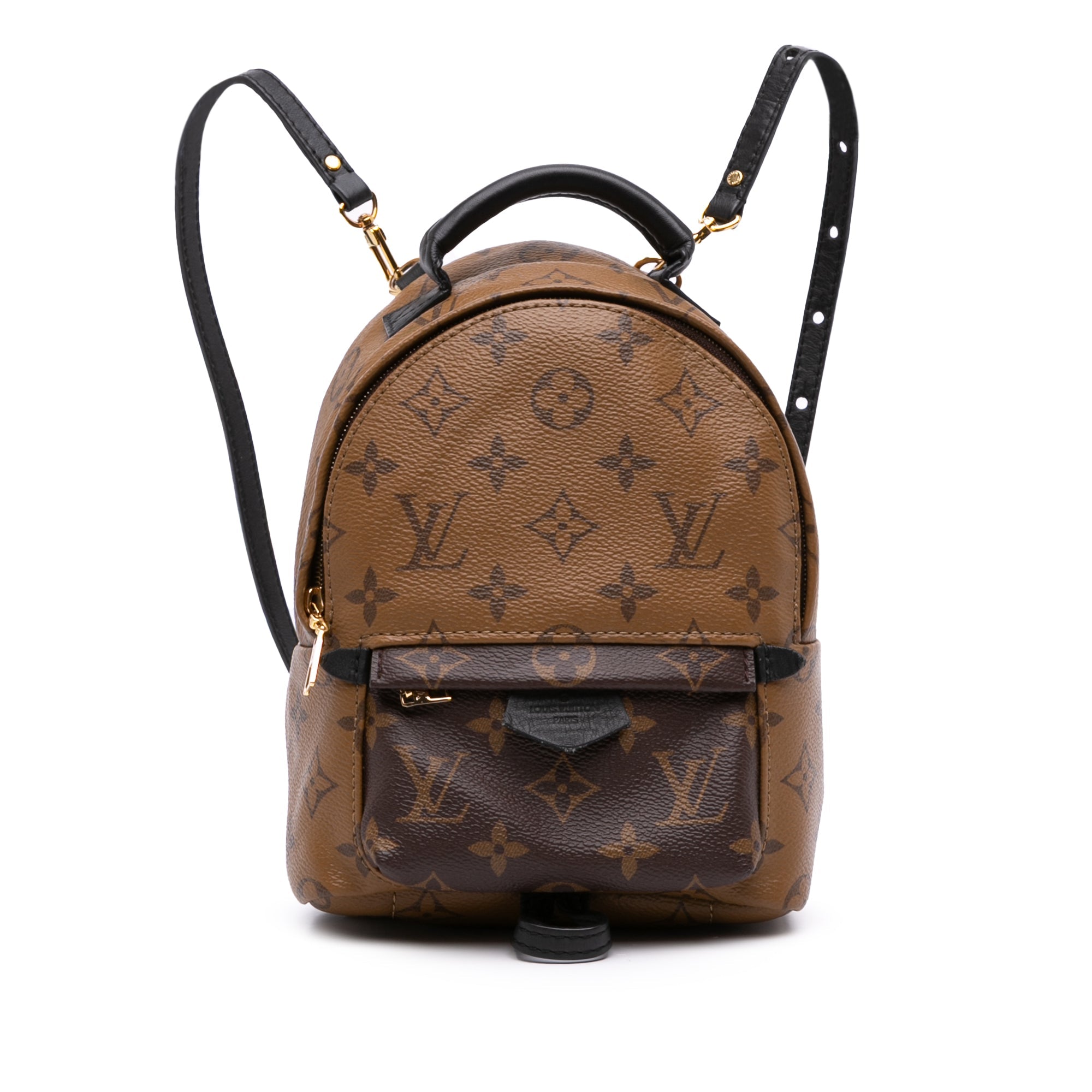 Louis Vuitton Monogram Reverse Mini Palm Springs - The Boutique