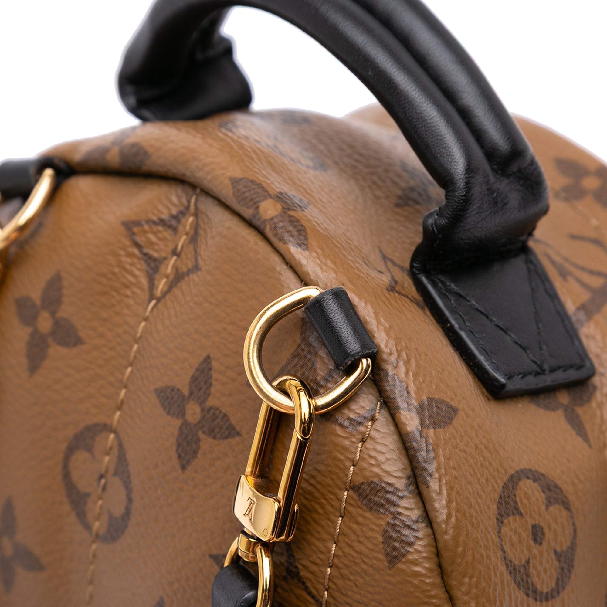 Louis Vuitton Monogram Reverse Mini Palm Springs - The Boutique