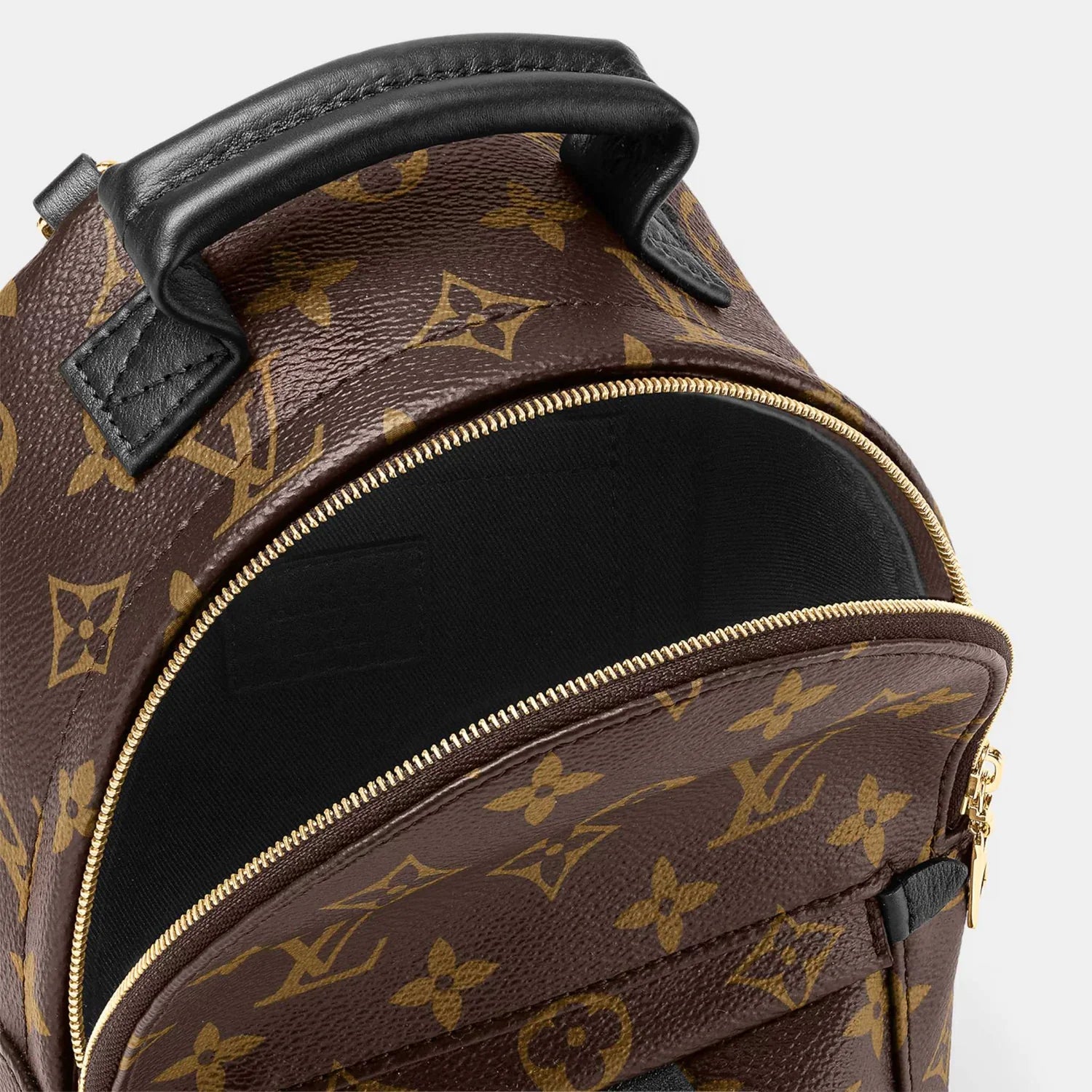 Louis Vuitton Palm Springs Mini Backpack in Monogram Canvas